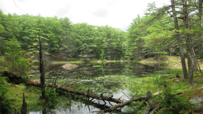 View of the beaver hut in Lost Lake