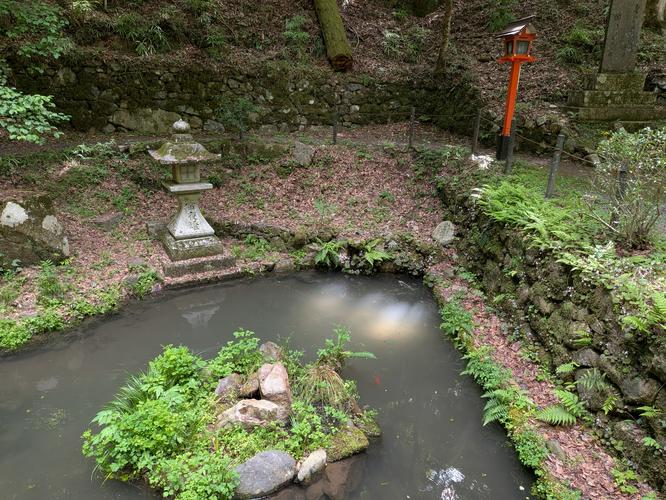 Pond