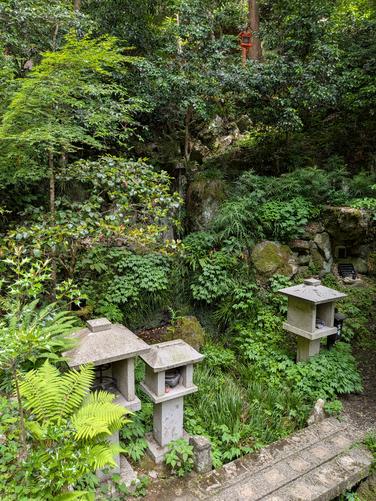 Picture 3 of Kurama to Kibune Hike