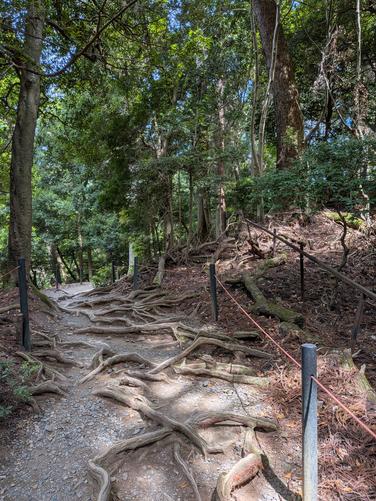 Kinone Michi (Path of Tree Roots)