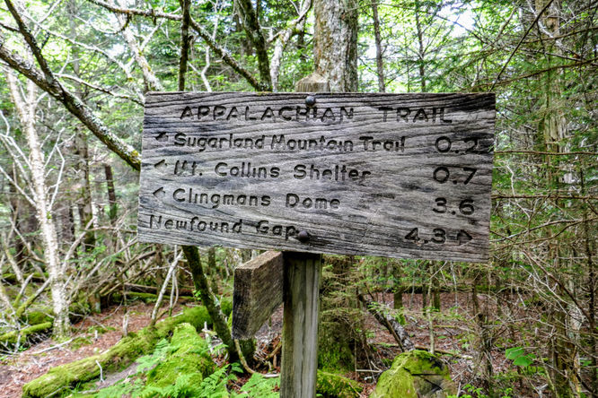 Picture 20 of Kuwohi Hike 061718