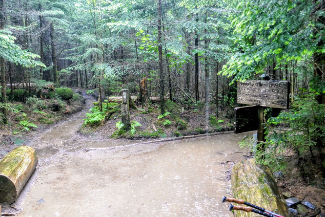 Picture 16 of Kuwohi Hike 061718