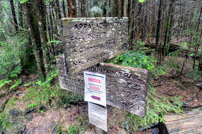 Picture 17 of Kuwohi Hike 061718