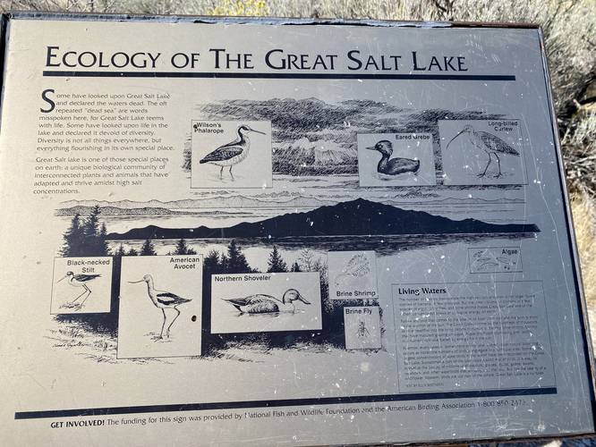 Ecology of the Great Salt Lake info kiosk