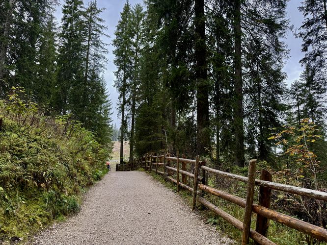 The trail circles the lake following a semi universally-accessible path