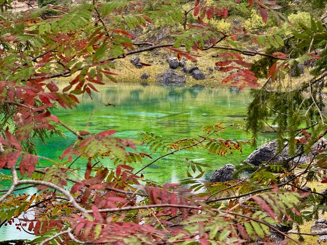 Autumn foliage in the foreground and the green hues of Lago di Carezza in the background