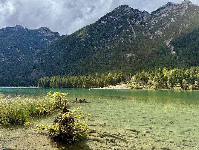 View of Lago di Dobbiaco near the trailhead