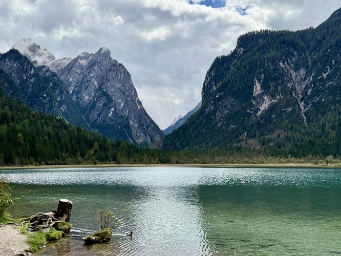View of the turquoise waters of Lago di Dobbiaco with towering peaks of the Dolomites