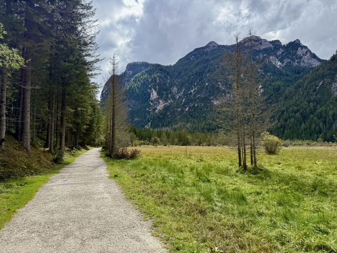 The Lago di Dobbiaco Trail leads into an open alpine meadow