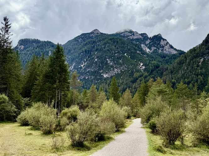 The flat, crushed stone path of the Lago di Dobbiaco Trail winds through the forest with towering alpine peaks overhead