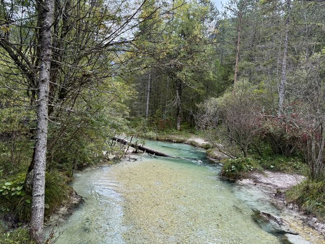 Turquoise tributary (Fiume Rienza) of Lake Dobbiaco