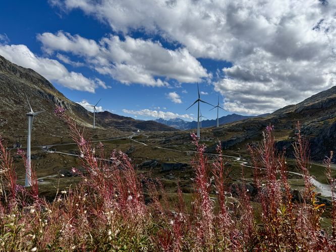Wind turbines sit in Gotthard Pass with red-tinted grass in the foreground