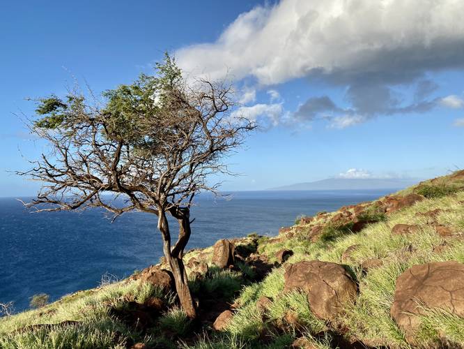 View of Lanai from the Lahaina Pali Trail