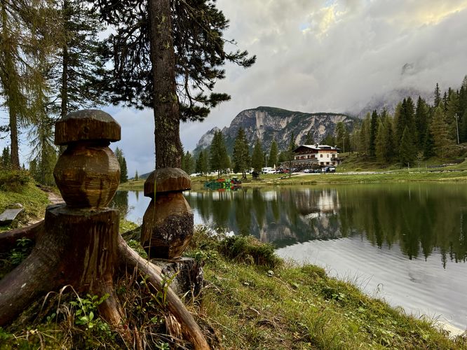 Mushroom-shaped tree stumps at Lake Antorno