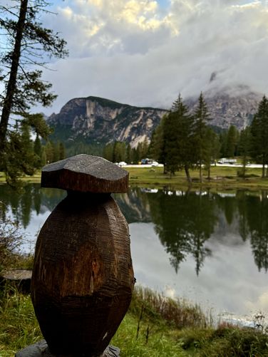 Mushroom-shaped tree stump