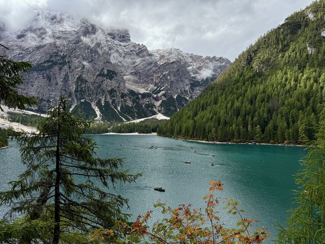 Larch trees in the foreground with turquoise waters of Lago di Braies and towering alpine mountains of the Dolomites overhead