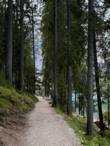 Hiking the Lago di Braies Trail through evergreen trees