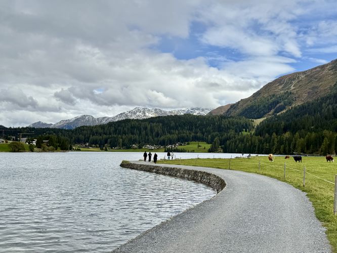 Lake Davos Trail - Lake Davos Trail album