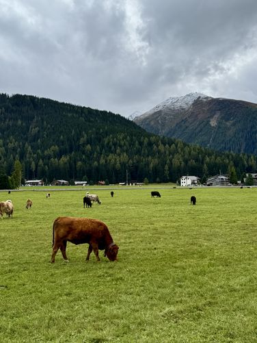 Picture 5 of Lake Davos Trail