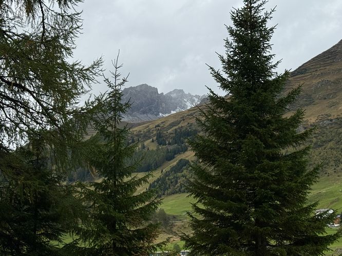 View of Swiss Alps between evergreens along the Lake Davos Trail
