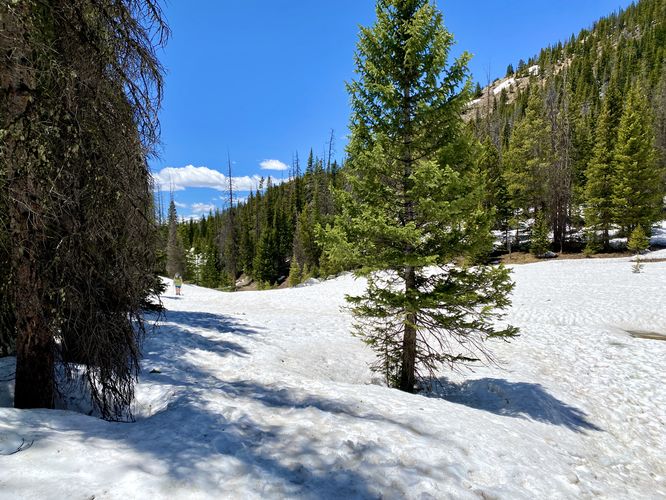 Snowfields covered the trail to Lake Irene, early June 2024
