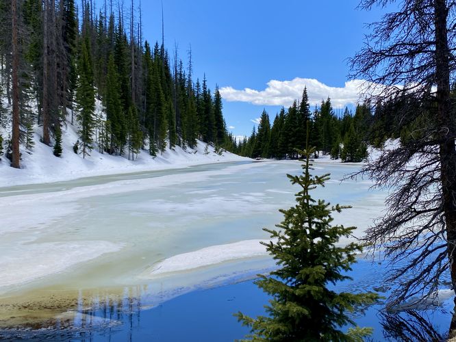View of the subalpine Lake Irene