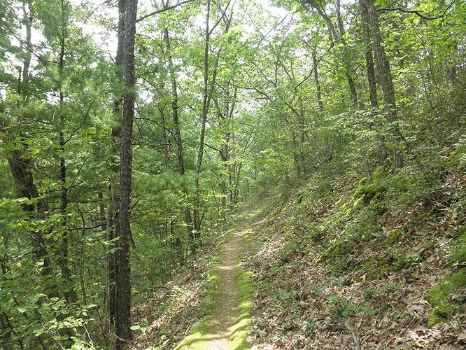 Picture 5 of Lake Moomaw Hike 082110