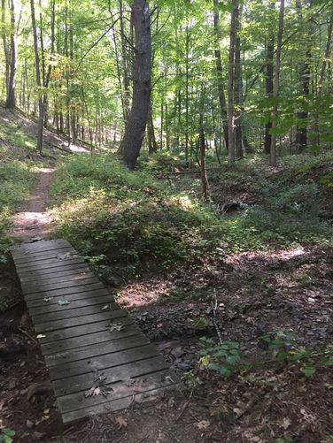 Picture 7 of Lake Moomaw Hike 091717
