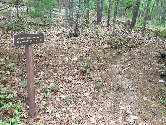 Picture 5 of Lake Moomaw Hike 091717