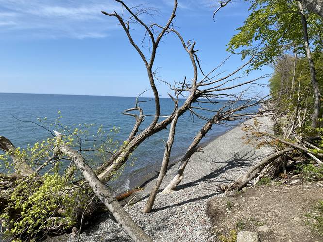 View of Lake Ontario at Lake Trail