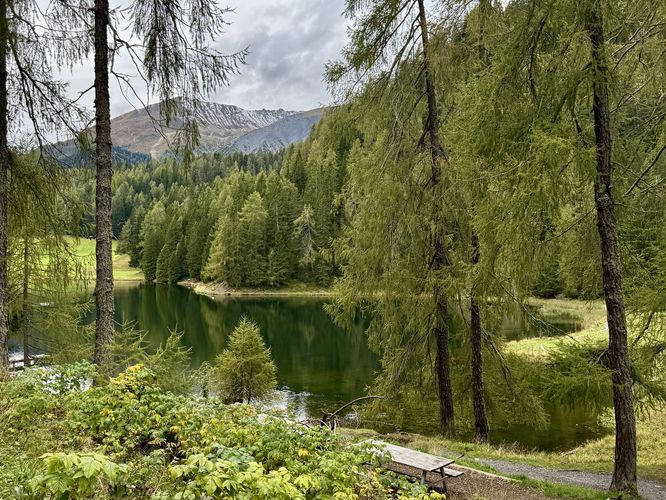 Picnic area and view of Schwarzsee