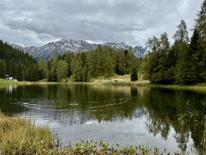 A duck swims through the glassy waters of Schwarzsee