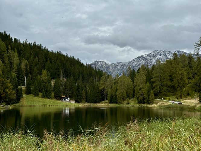View from the southern end of Schwarzsee with Swiss Alps
