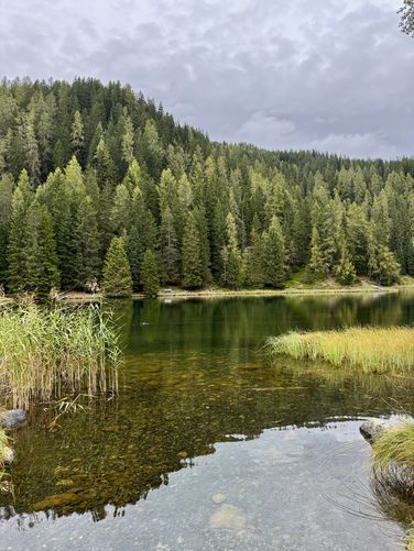 Crystal-clear waters of Schwarzsee