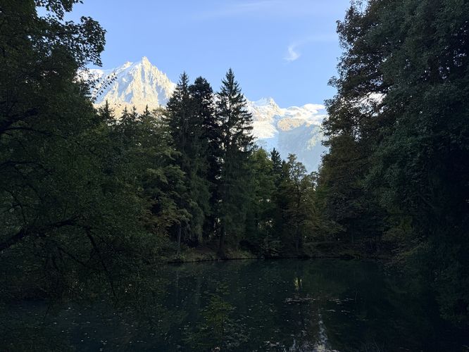 View / Overlook / Vista