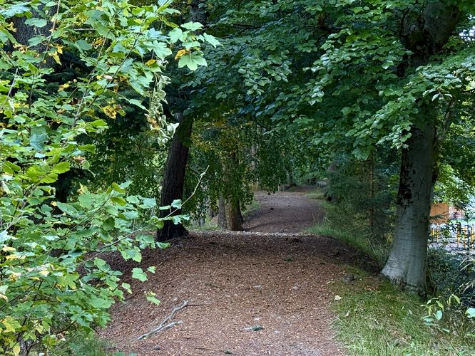 Picture 32 of Lake Sinclair Ruins Loop