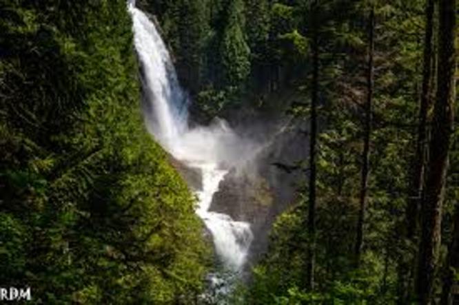 Lake Wallace - Lake Wallace trails album