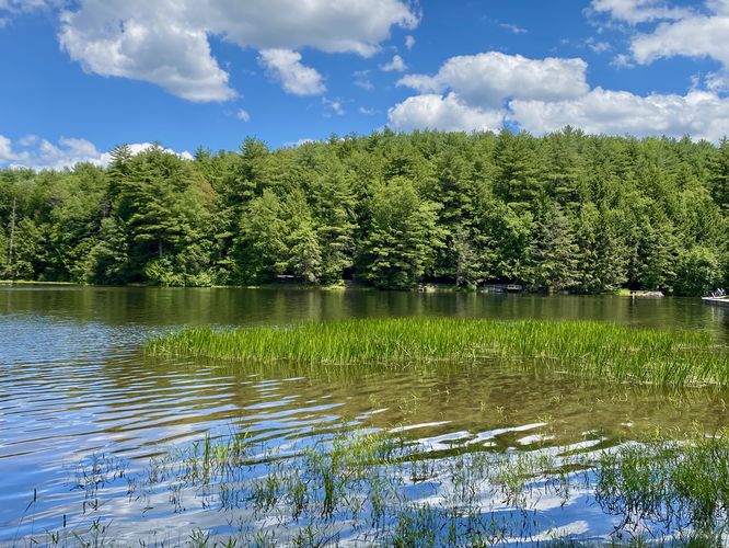 View of Halfway Lake