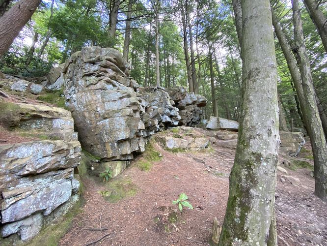 Rocky outcropping