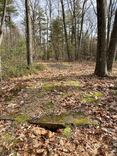 Large concrete slab in the woods - indicates something used to stand here. In Lambs Park at Tioga State Forest