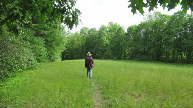 The Green Trail travels through some fields