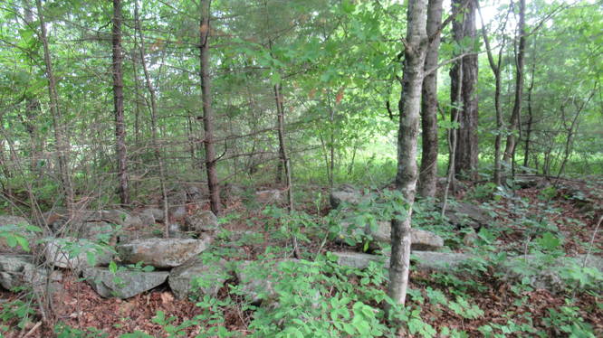 Remains of an Old foundation along the Green Trail