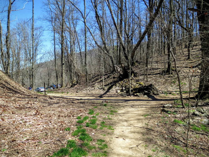 Picture 6 of Lane Pinnacle Hike 040316