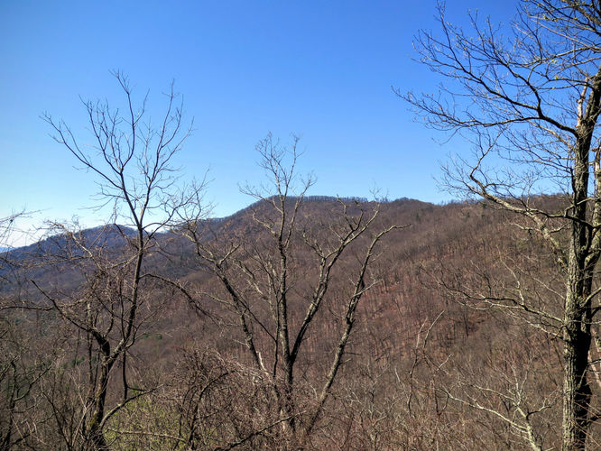 Picture 7 of Lane Pinnacle Hike 040316