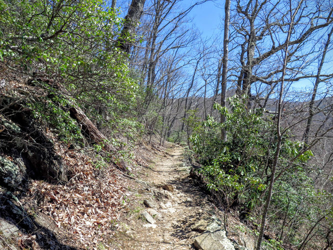 Picture 8 of Lane Pinnacle Hike 040316