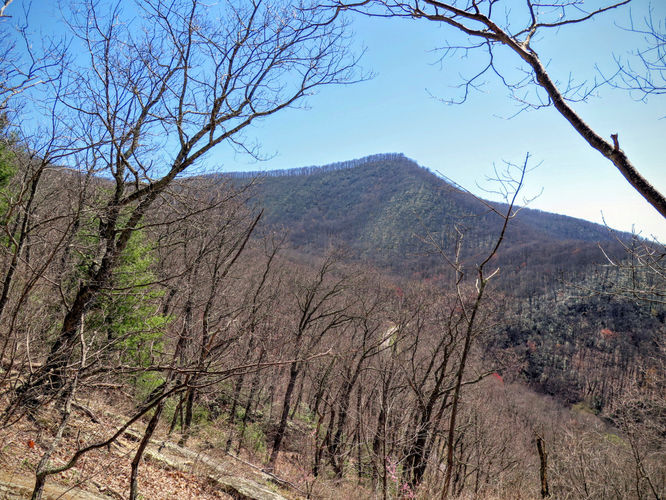 Picture 9 of Lane Pinnacle Hike 040316