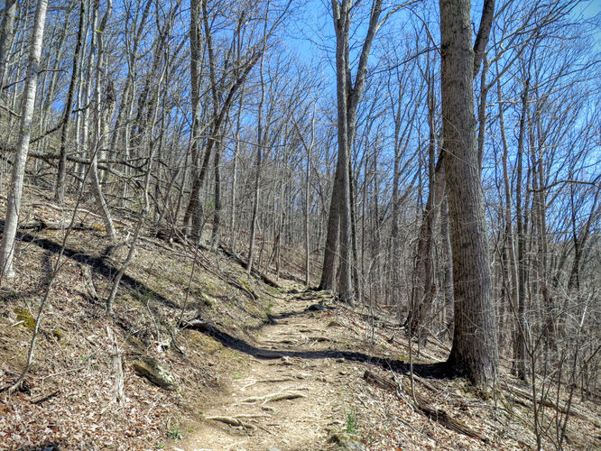 Picture 10 of Lane Pinnacle Hike 040316