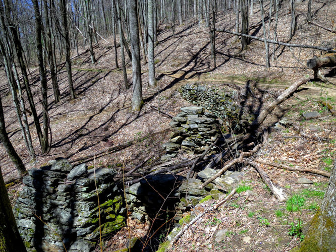 Picture 18 of Lane Pinnacle Hike 040316