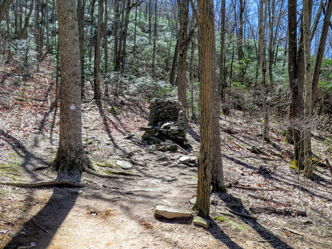 Picture 19 of Lane Pinnacle Hike 040316