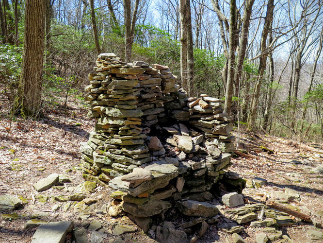 Picture 20 of Lane Pinnacle Hike 040316